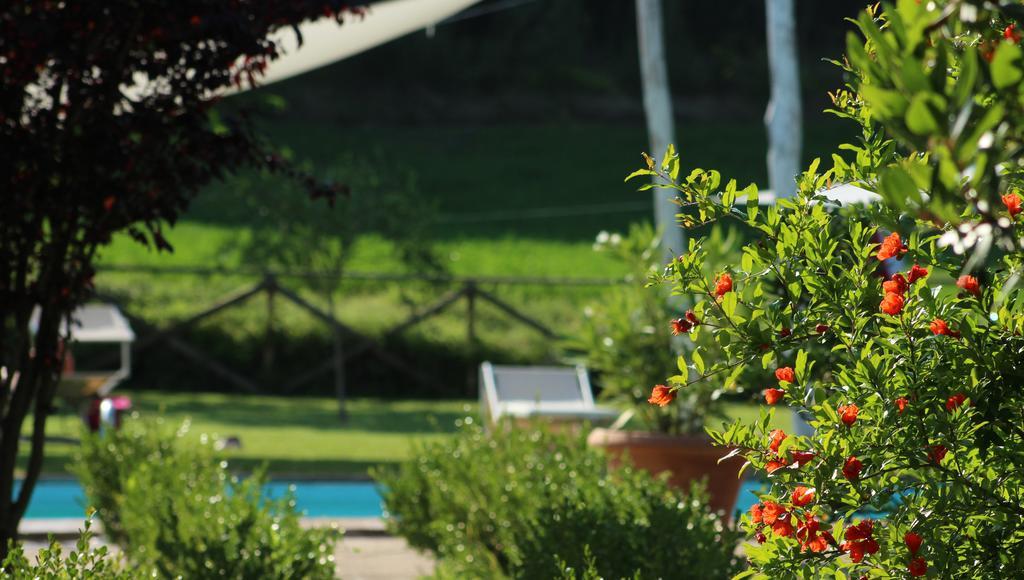 L'Ariete Guest House Montone  Ngoại thất bức ảnh